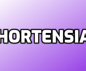 significado de nombre Hortensia nombre Hortensia