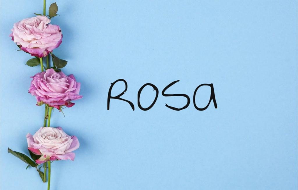 Origen del nombre Rosa