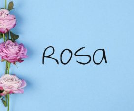 Origen del nombre Rosa