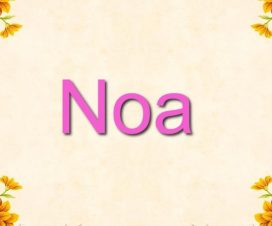 Origen del nombre Noa