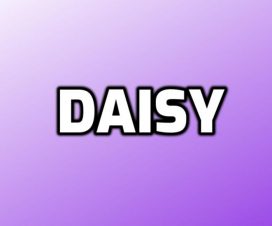 Daisy