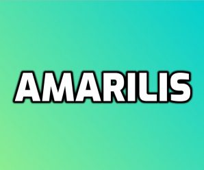 nombre Amarilis