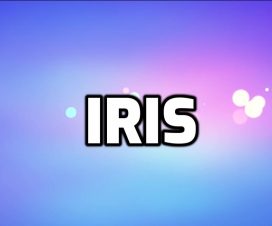nombre iris significado
